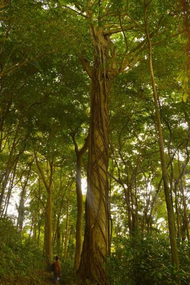 FB_IMG_1529625460282