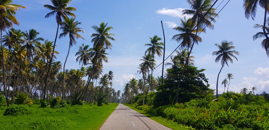 20191102_130926 - Copy2