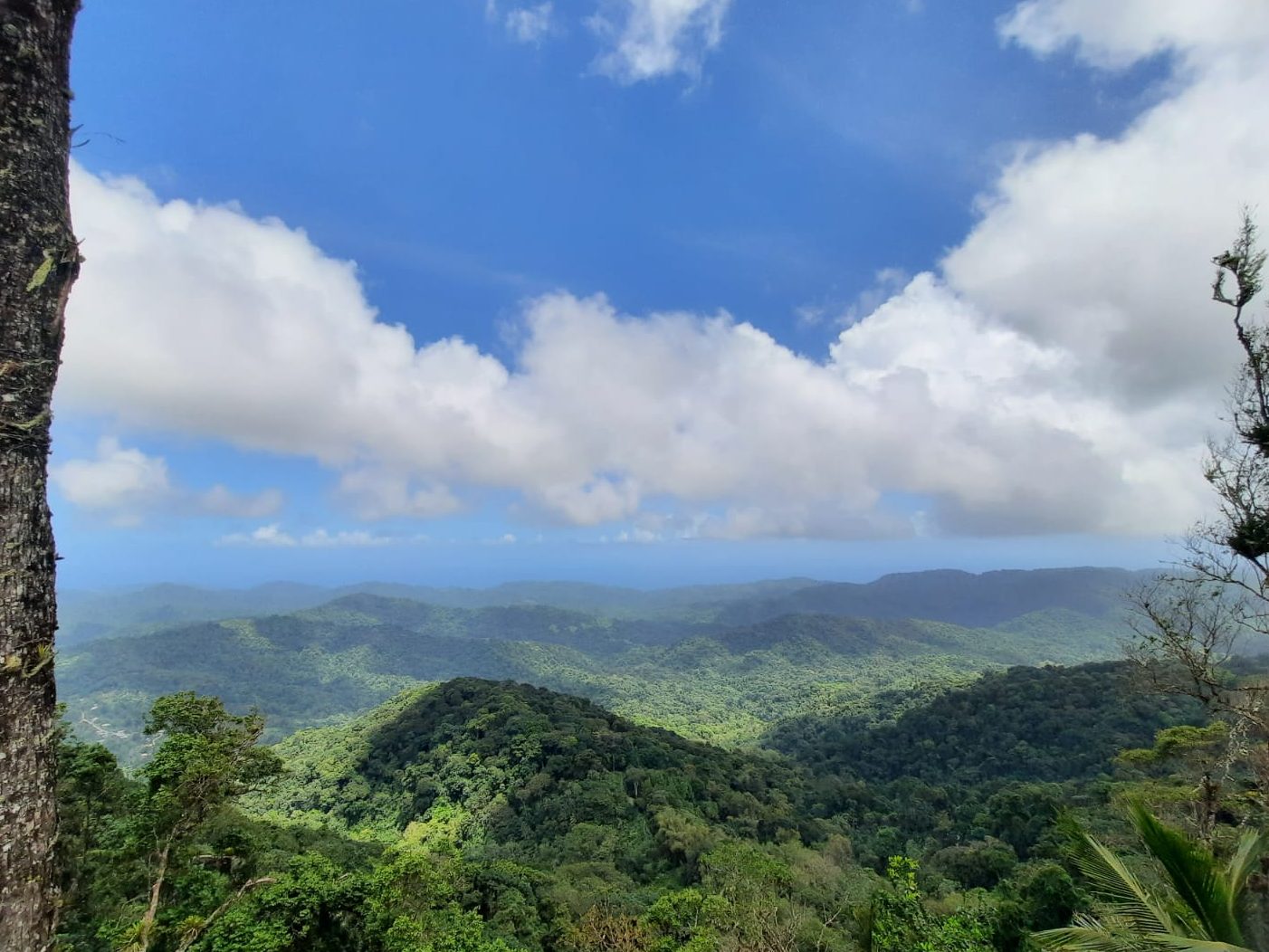 Hike to Twin Falls in Brasso Seco Village, Trinidad Celly Hikes